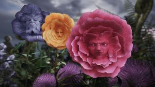 17. Алиса в Стране чудес (2010)