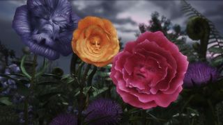 79. Алиса в Стране чудес (2010)