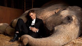 36. Воды слонам! (2011)