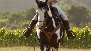 55. Воды слонам! (2011)