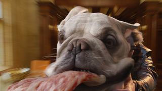 119. Люди Икс: Апокалипсис (2016)