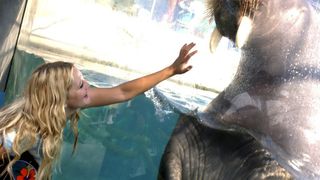 20. 50 первых поцелуев (2004)