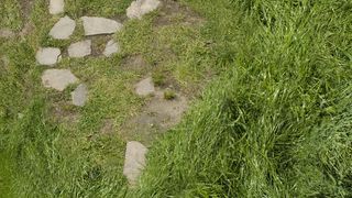 71. Хоббит: Нежданное путешествие (2012)