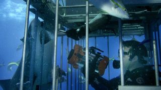 12. Открытое море (2003)