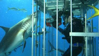 17. Открытое море (2003)