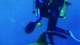 20. Открытое море (2003)