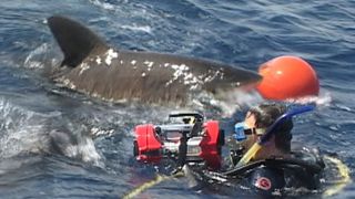 9. Открытое море (2003)