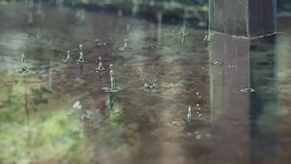 2. Сад изящных слов (2013)