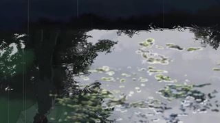 53. Сад изящных слов (2013)