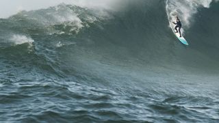 44. Покорители волн (2012)