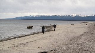 3. Эластико (2016)