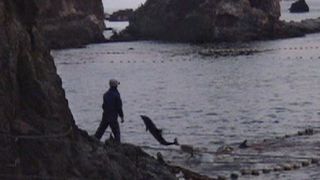 10. Бухта (2009)