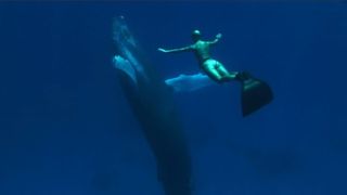 11. Бухта (2009)