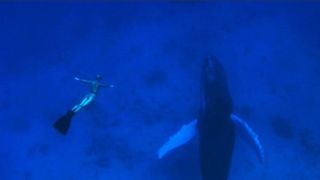 13. Бухта (2009)