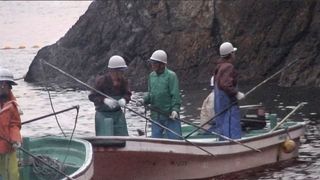 8. Бухта (2009)