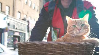 17. Уличный кот по кличке Боб (2016)