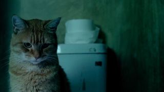 20. Уличный кот по кличке Боб (2016)