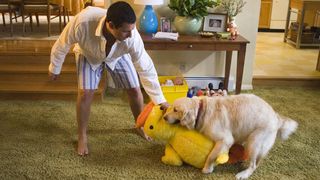 42. Клик: С пультом по жизни (2006)