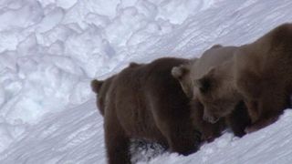 2. BBC: Величайшие явления природы (2009)