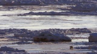 5. BBC: Величайшие явления природы (2009)