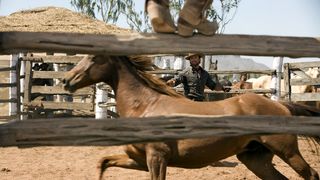 55. Австралия (2008)