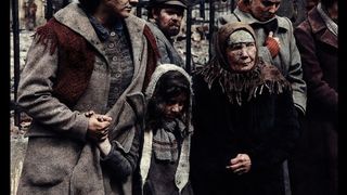 34. Сталинград (2013)
