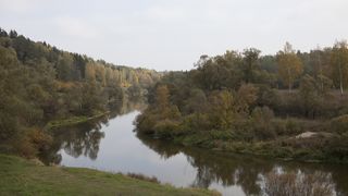 11. Единичка (2015)