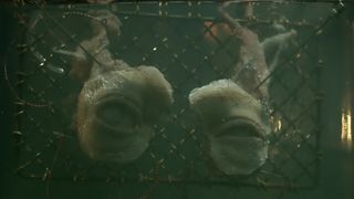 110. Виктор Франкенштейн (2015)