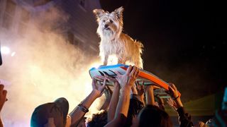 24. Проект X: Дорвались (2012)