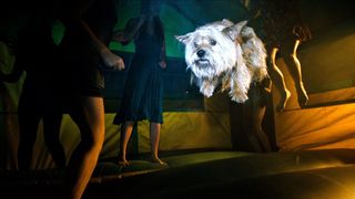 33. Проект X: Дорвались (2012)