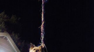 44. Проект X: Дорвались (2012)