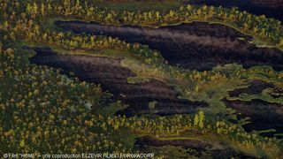 12. Дом. История путешествия (2009)