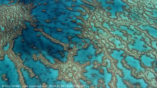 15. Дом. История путешествия (2009)