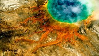 2. Дом. История путешествия (2009)