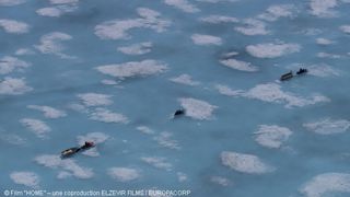 20. Дом. История путешествия (2009)