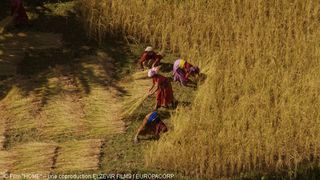 22. Дом. История путешествия (2009)