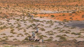 23. Дом. История путешествия (2009)