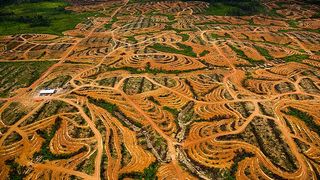 4. Дом. История путешествия (2009)