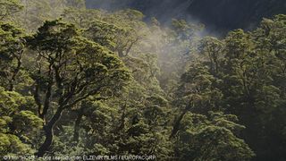 7. Дом. История путешествия (2009)