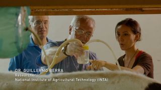 100. Гонка на вымирание (2015)