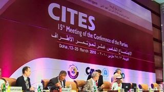 124. Гонка на вымирание (2015)