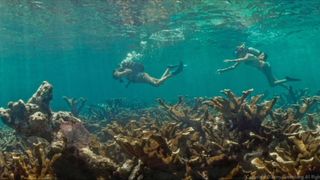 129. Гонка на вымирание (2015)