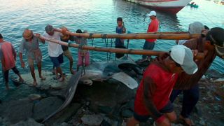 17. Гонка на вымирание (2015)