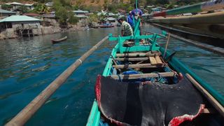 19. Гонка на вымирание (2015)