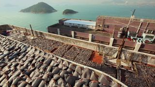 31. Гонка на вымирание (2015)