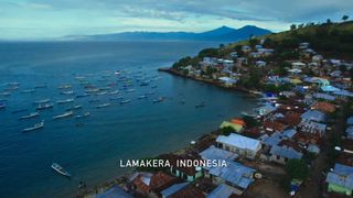 34. Гонка на вымирание (2015)