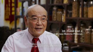 40. Гонка на вымирание (2015)