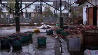 41. Гонка на вымирание (2015)