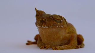 44. Гонка на вымирание (2015)