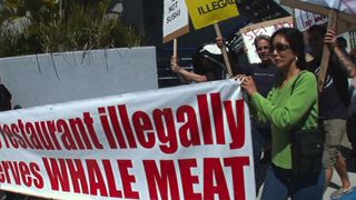 48. Гонка на вымирание (2015)